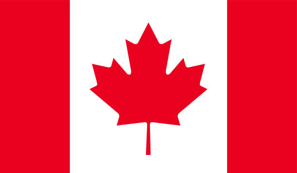 flaga kanady do pobrania - canadian flag stock illustrations