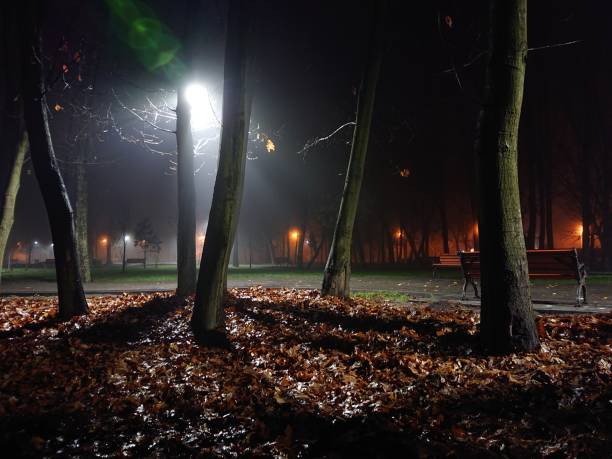 istock Night park with fallen leaves and lanterns in fog 1223790454