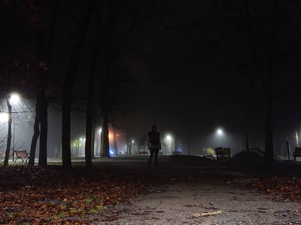 istock Night park in the fog 1223790460