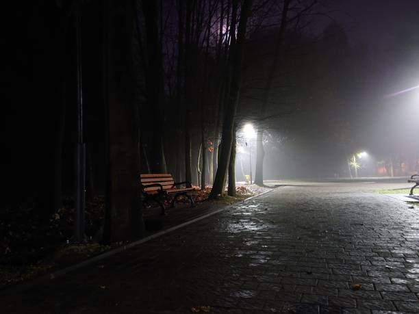 istock Night park in the fog 1223790467
