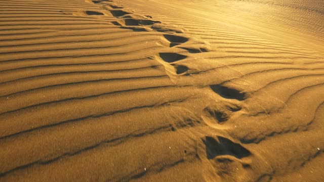 Footprints on sand of dune in desert during evening. Steadicam shot, 4K