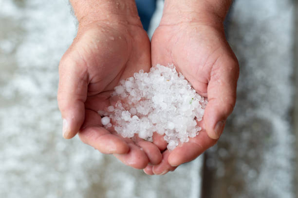 istock Hails in hand. Snow pellets on the ground. A strong thunderstorm with hail 1223791277