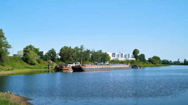 istock Cargo ship on the banks of the River Elbe 1223794384