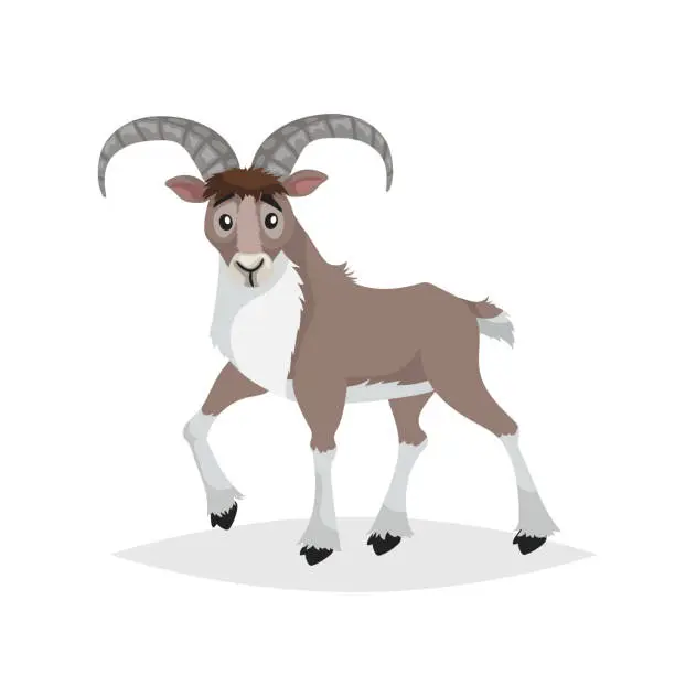 Vector illustration of Cute cartoon bighorn ship. Mountain animals. Urial in comic style. Wild animal. Vector drawing for kids. Isolated on white background.