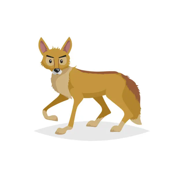 Vector illustration of Cute cartoon coyote. Wild animal. Vector illustration for child books. Danger predator animal. Isolated on white background.