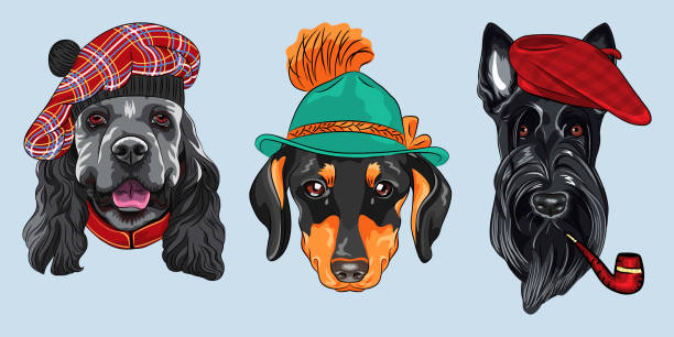 vector Set 2 cartoon hipster dogs Set of hipster dogs. American Cocker Spaniel in tartan Scottish Tam, Dachshund in tyrolean hat, Scottish Terrier in red beret with a pipe tam o'shanter stock illustrations