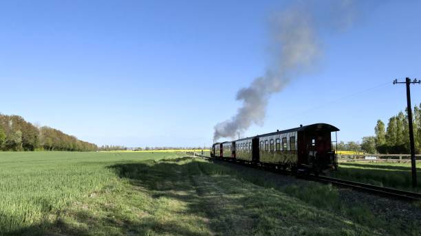 istock Steam locomotive 1223794497