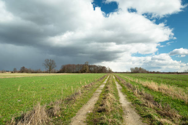 istock A dirt road through green fields and clouds on the sky 1223795690