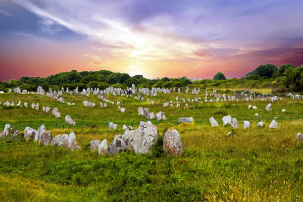 carnac. die ausrichtungen von ménec, morbihan, bretagne - hünengrab stock-fotos und bilder