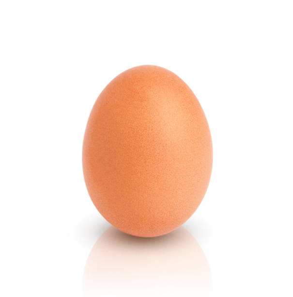 istock Close up chicken egg isolated on white background with clipping paths 1223803211