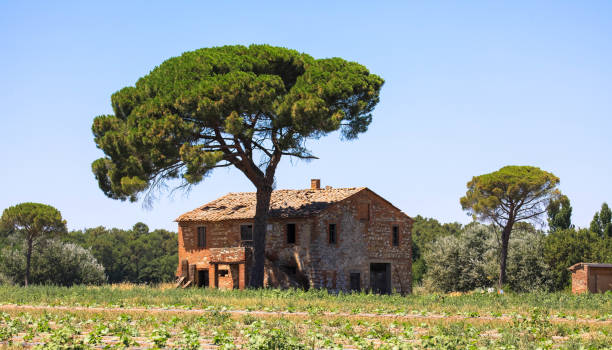 abandoned ancient house in tuscany, italy - clear sky italy tuscany image imagens e fotografias de stock