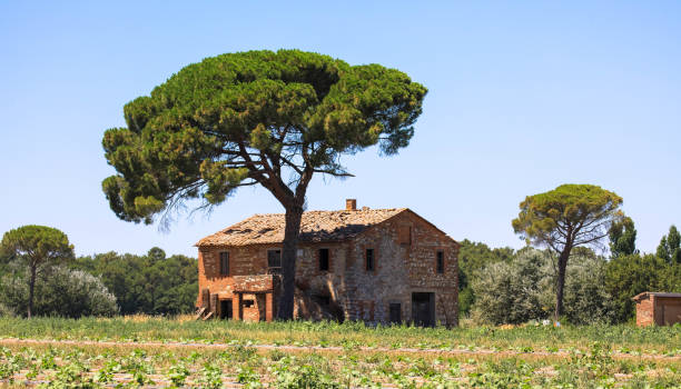 заброшенный древний дом в тоскане, италия - tuscany abandoned стоковые фото и изображения