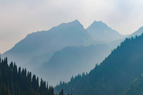 Aerial view of mystery valley landscape at morning, Mountain Huangshan, ChinaChina.