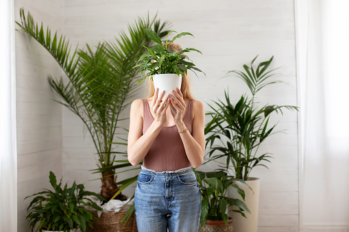 Young woman holding green plant in front of her face. Home gardening concept. Nature lover.