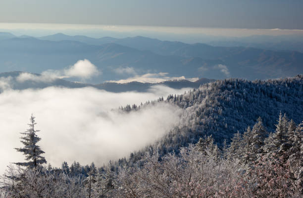 istock Frosted Forest Great Smoky Mountains 1223808026