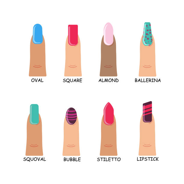 Different Shapes Nails Stock Illustration - Download Image Now - Artificial  Nail, Almond, Art - iStock