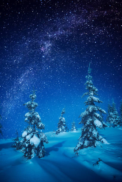 istock Fairy winter forest covered with snow in a moon light 1223816112