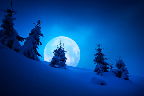 istock Wonderful moon rise in a Carpathian mountain valley 1223816139