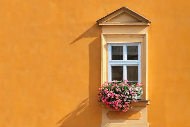 Window and flowerbox, orange wall, shadow