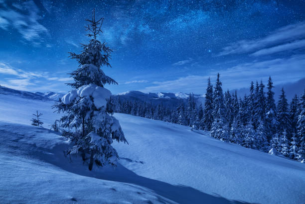 istock Spruce tree on a mountain hill covered with snow 1223816260