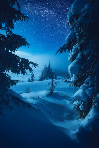istock The valley covered with fresh snow in a light of moon 1223816925