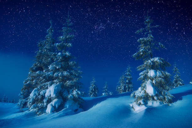 istock The valley covered with snow in a light of moon 1223816944