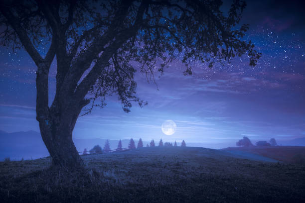 The full moon rising in a carpathian mountain valley