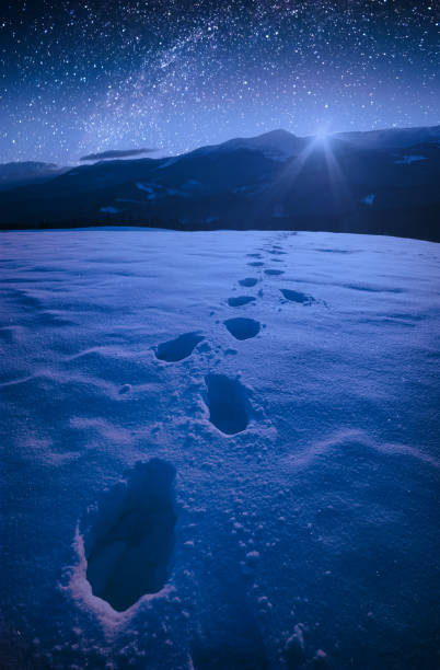 istock The winter starry night in a carpathian mountain valley 1223817128