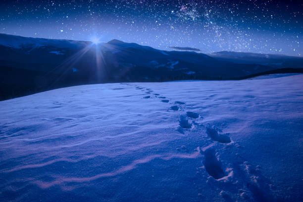 istock The track of footprints on a fresh snow 1223817178