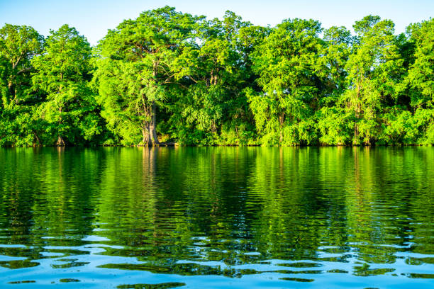 morning reflection on town lake in austin texas usa - highway nobody town urban road imagens e fotografias de stock