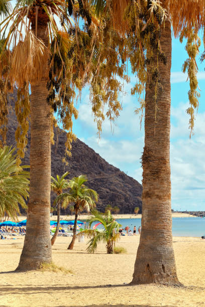 istock People sunbathing on sandy picturesque beach 1223818291