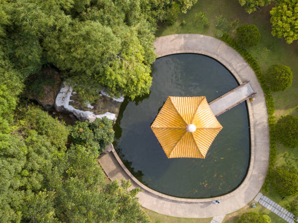 istock Aerial view pavilion over the pool 1223818461