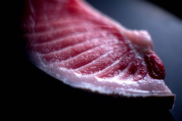 Detail Tunfish belly