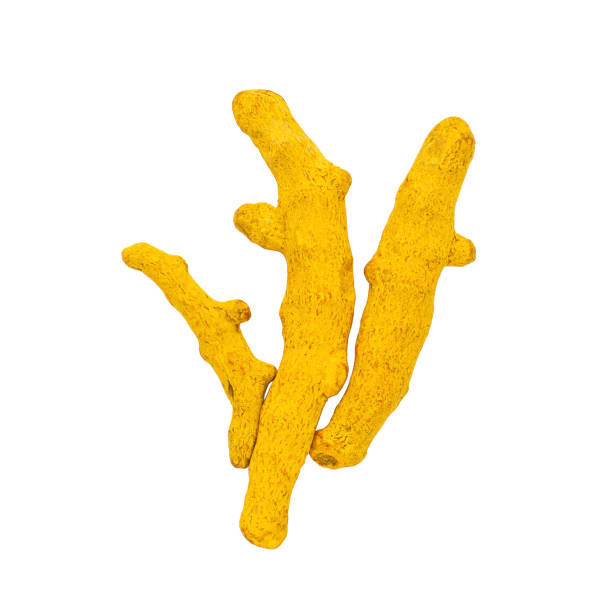 radici di curcuma secche isolate su sfondo bianco. - spice ayurveda herb curry powder foto e immagini stock