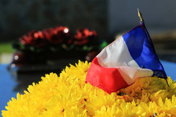 French flag on chrysanthemums. Coulommes. Seine et Marne. France. Europe. Europe. France. Seine et Marne. Coulommes. 11/13/2013. This colorful image depicts a French flag on chrysanthemums. 1914 stock pictures, royalty-free photos & images