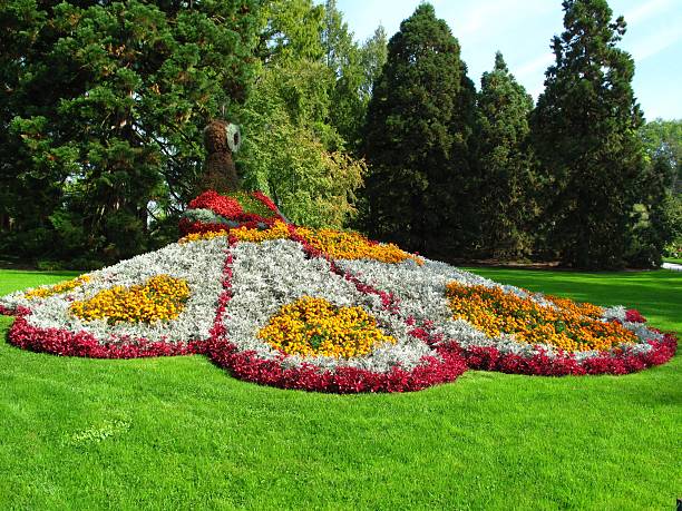 istock Wonderful flower peacock 122383406
