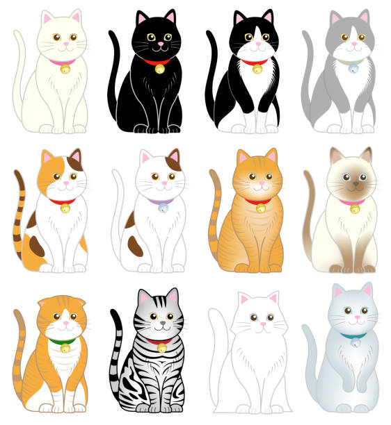 茶トラ イラスト素材 猫 正面 宇宙 子猫 Istock 茶トラ イラスト素材 猫 正面 宇宙 子猫 Istock