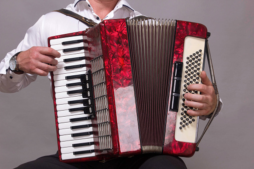 Closeup detail of a man in a white shirt playing the red accordion. Hands close-up
