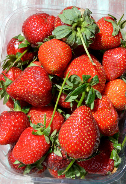 istock close-up organic and fresh strawberries 1223840208