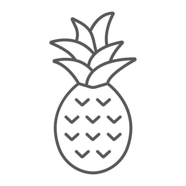 Pineapple thin line icon, fruit and tropical, ananas sign vector graphics, a linear icon on a white background, eps 10. Pineapple thin line icon, fruit and tropical, ananas sign vector graphics, a linear icon on a white background, eps 10 ananas stock illustrations