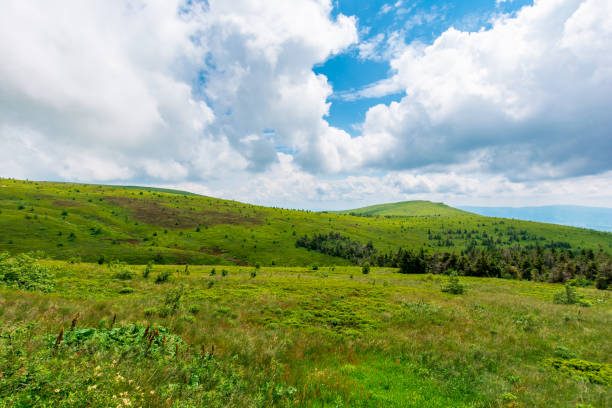 istock alpine meadows of mnt. Runa 1223840582