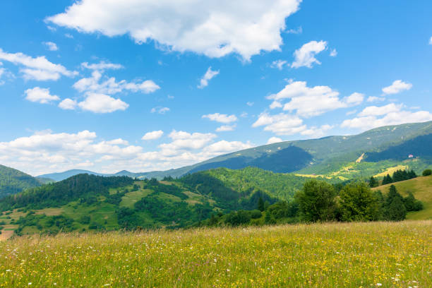 istock countryside fields and meadows on hills in summer 1223840589