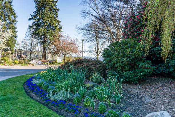 istock Seward Park Flower Garden 1223841477