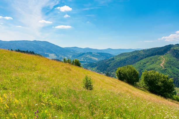 istock countryside fields and meadows on hills in summer 1223841619
