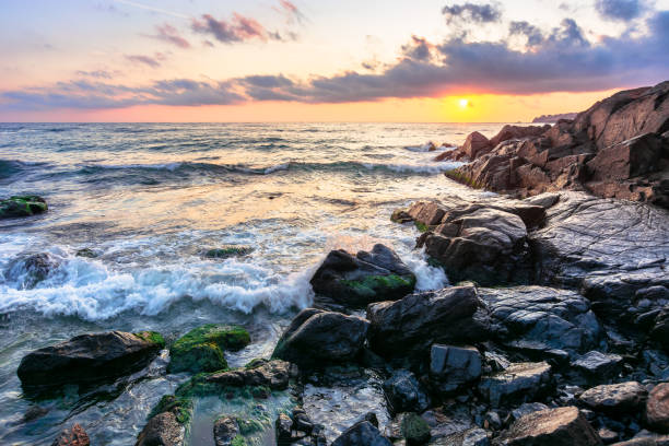 istock beach of the sea at sunset 1223842316