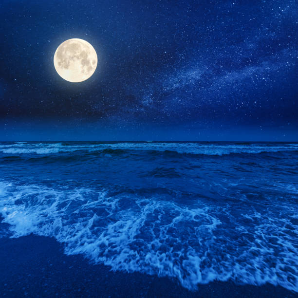 istock beach and sea on a cloudy night 1223842560