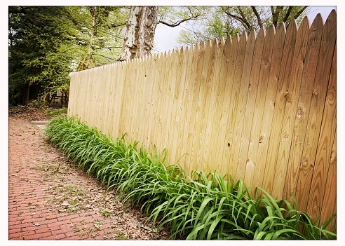 Wooden fence with Day Lily Plants