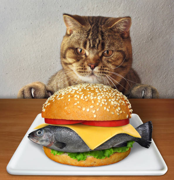 istock Cat wants to eat fresh fish burger 1223843860
