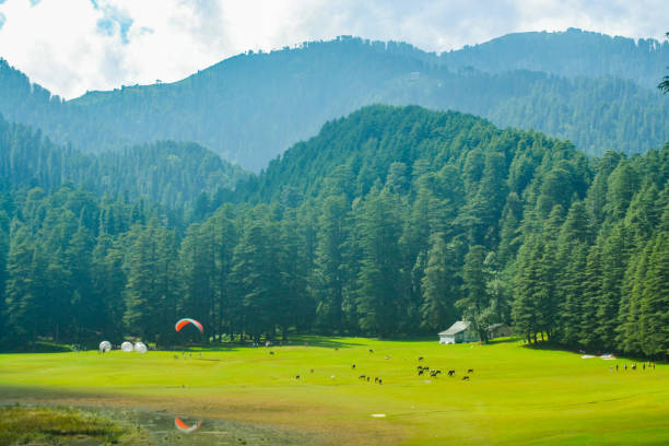 khajjiar, la « mini suisse de l’inde », comme on l’appelle souvent, est une petite station de colline dans l’état de l’himachal pradesh, dans le nord de l’inde. - himachal photos et images de collection