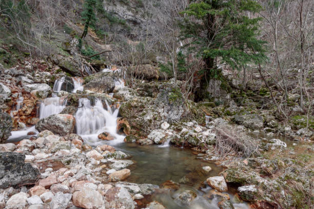 istock at the source of the riopar world river 1223844953